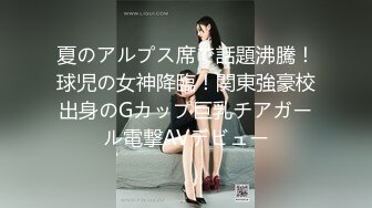 中出しお義姉さんの誘惑～美貌と淫技で誘う兄嫁～ 本田岬