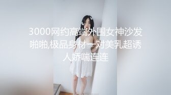 美少妇车上温馨口活