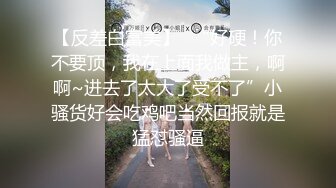 【自制字幕系列】第18弹 AKA吕布-电话少妇 一边艹逼一边打电话，太刺激了 (中文字幕版)！