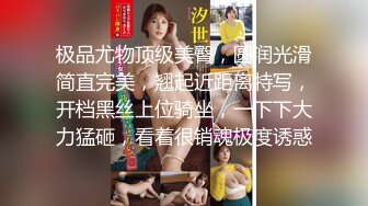 国产麻豆AV 麻豆US LAX0011 骚女仆的榨精工作 Sophia