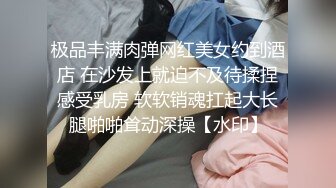 寂寞酒店保洁员阿姨，拿大扫把插逼，偷闻男客人内裤，勾引客人乳交内射。