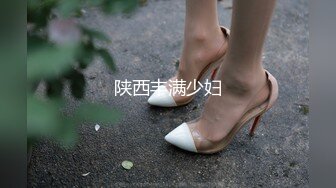 陕西丰满少妇