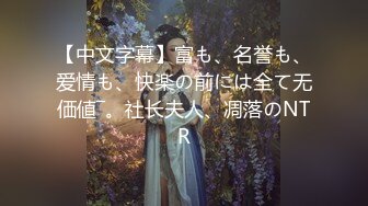 【中文字幕】富も、名誉も、爱情も、快楽の前には全て无価値―。社长夫人、凋落のNTR