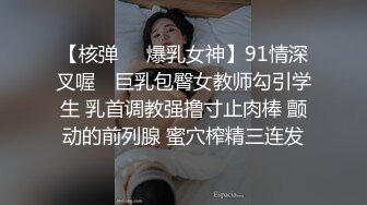 AI- 杨幂 粉丝嘉年华 完美换脸，极品中的极品，值得收藏