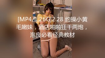 [MP4/ 1.19G]&nbsp;&nbsp;大海浪探花，今夜尝试挑战沙发视角，2600网约外围女神