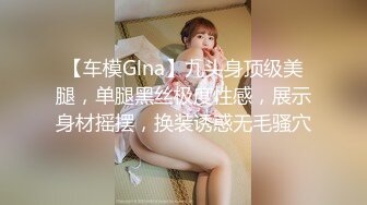 翘臀女神顶级视图福利包-VVLOL-1米7大高个顶级美腿白虎女250P+65V