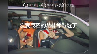 【探花】之小胖历险记第12弹 大肥猪这次约了个不错的美女，无论身材还是颜值都是极品，十分不错的美人！