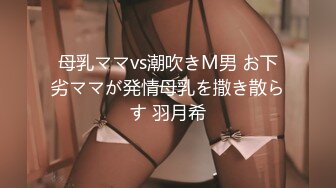 经典男上女下