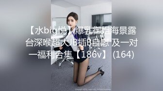 【水big悦】爆乳御姐海景露台深喉超大JB插B自慰 及一对一福利合集【186v】 (164)