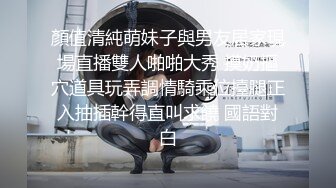 和小母狗的主人女仆体验