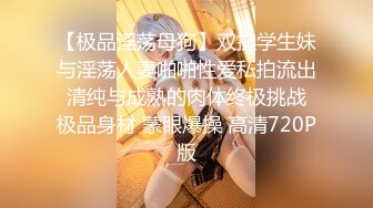 『kyara_sss』极品美乳人妻 奶子又大胸型又好看，还特么巨骚，被操的时候喜欢说淫语，巨顶！美乳丰臀超反差4 (3)