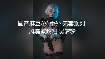 国产麻豆AV 番外 无套系列 风骚家政妇 吴梦梦