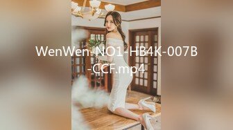 WenWen-NO1-HB4K-007B-CCF.mp4