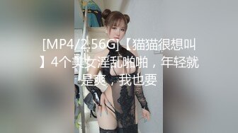 [MP4/538MB]漂亮女神被金主爸爸調教淪爲小母狗 機場公廁露出 全裸摸乳玩穴太淫蕩欠操了 完美露臉