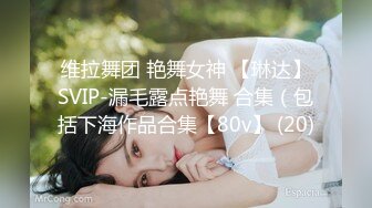 维拉舞团 艳舞女神 【琳达】SVIP-漏毛露点艳舞 合集（包括下海作品合集【80v】 (20)