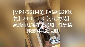 [MP4/561MB]【AI高清2K修复】2020.11.3【小北寻花】高颜值红裙妹子啪啪，性感情趣装网袜翘屁股