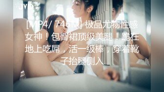 麻豆传媒 MDSR0002-2《性工作者》EP2 AV女优的真情告白-夏晴子