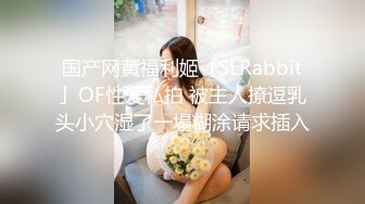 国产网黄福利姬「SLRabbit」OF性爱私拍 被主人撩逗乳头小穴湿了一塌糊涂请求插入