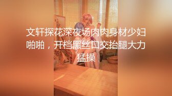 -麻豆传媒 MDWP0033 淫行KTV 赵晓涵