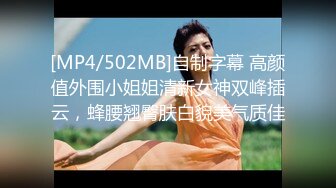 新入社员欢迎会3P ～夜袭3P～