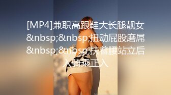 [MP4]兼职高跟鞋大长腿靓女&nbsp;&nbsp;扭动屁股磨屌&nbsp;&nbsp;扶着腰站立后入骑乘正入