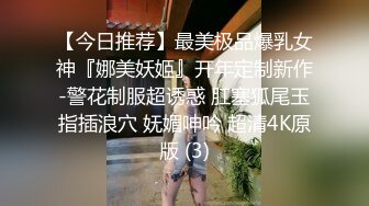 狂草多毛鲍鱼