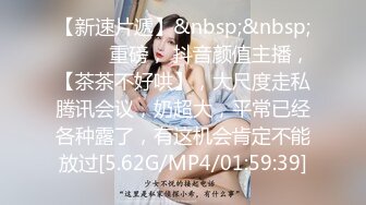 [MP4]圆润美臀少妇居家夫妻JQ啪啪，特写口交舔屌拨开内裤掰穴，翘起屁股隔着内裤摸逼，第一视角后入一下下撞击