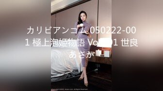 カリビアンコム 050222-001 極上泡姫物語 Vol.101 世良あさか