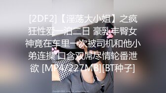 [2DF2]【淫荡大小姐】之疯狂性爱一泊二日 豪乳丰臀女神竟在车里一次被司机和他小弟连操 口含双屌尽情轮番泄欲 [MP4/227MB][BT种子]