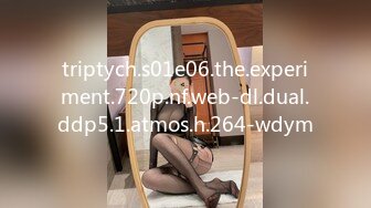 triptych.s01e06.the.experiment.720p.nf.web-dl.dual.ddp5.1.atmos.h.264-wdym