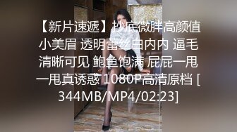 商场女厕全景偷拍红唇美少妇的极品小黑鲍