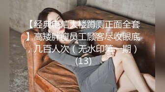 【AI换脸视频】佟丽娅 骚情的女房东[上]