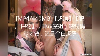 [MP4/440MB]【超清】【肥尸探花】，兼职空姐，缺钱偶尔才做，还是个白虎屄