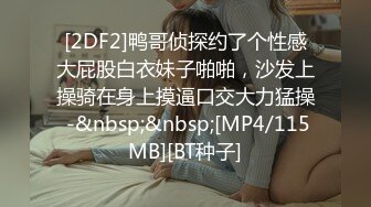 国产麻豆AV MD MD0233 惹火借宿 米亚