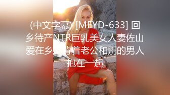 (中文字幕) [MEYD-633] 回乡待产NTR巨乳美女人妻佐山爱在乡下背着老公和别的男人抱在一起