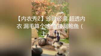 【内衣秀2】珍藏经典 超透内衣 漏毛算个啥 直接漏鲍鱼（上） (1)