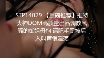 STP14029 【重磅推荐】推特大神DOM高质量出品调教风骚的御姐母狗 逼肥毛黑被后入叫声很淫荡