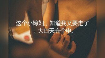 这个小媳妇，知道我又要走了，大白天充个电.