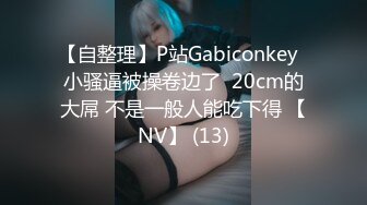 【自整理】P站Gabiconkey  小骚逼被操卷边了  20cm的大屌 不是一般人能吃下得 【NV】 (13)