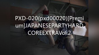 PXD-020(pxd00020)[Premium]JAPANESEPARTYHARDCOREEXTRAVol.2