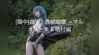 [簡中]姦染3 首都崩壊 ～マルガリータ B 穂村編