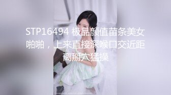 [MP4]STP28362 淫娃御姐 窈窕身材170cm大长腿车模女神▌淑怡▌平面模特的沦陷 下 在姐姐眼皮下和姐夫偷情超爽刺激 VIP0600