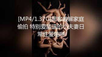 [MP4]上门操大奶少妇，透视装翘起屁股口交，脱掉内裤掰穴特写，抬起腿一下下抽插撞击