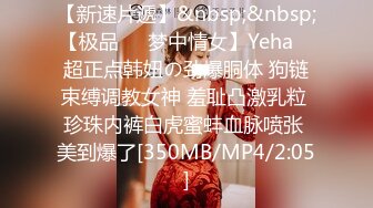 【新速片遞】&nbsp;&nbsp;【极品❤️梦中情女】Yeha✨ 超正点韩妞の劲爆胴体 狗链束缚调教女神 羞耻凸激乳粒 珍珠内裤白虎蜜蚌血脉喷张 美到爆了[350MB/MP4/2:05]