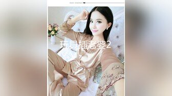 玩具插老婆2