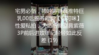 大神自拍合集，苗條模特身材貧乳奶茶母狗女友啪啪日常，後入大力撞擊大屁股31V