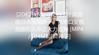 [2DF2] 小宝寻花约了个高颜值白衣马尾妹子，舌吻口交翘屁股后人床边大力猛操 [MP4/104MB][BT种子]